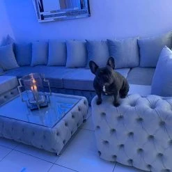 Velvetsofa SOFAS ASHTON FRENCH VELVET U CORNER SOFA RANGE