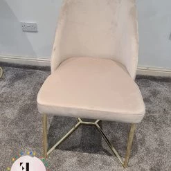 Furniture Imports LTD Yildiz Dining Chair Cream Velvet & Gold Legs REDUCED SALE ITEMS