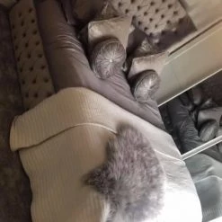 Furniture Imports LTD BED COLLECTION Luxe Curved Wingback Plush Velvet Bed 31 Furniture Imports LTD BED COLLECTION Luxe Curved Wingback Plush Velvet Bed